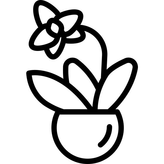 Botanic