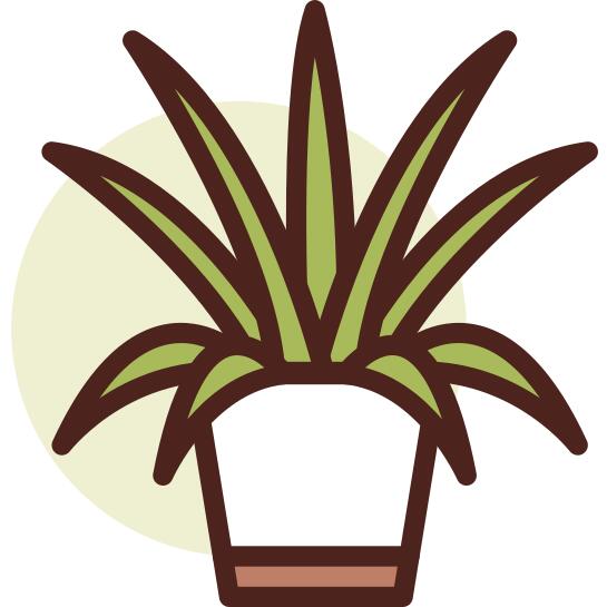植物