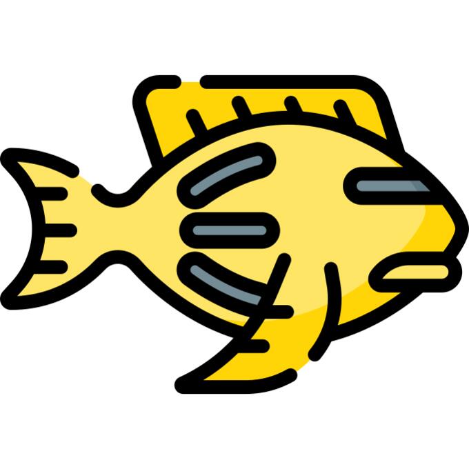 鱼