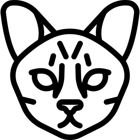 萨凡纳猫