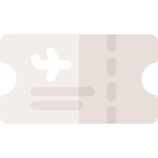 Plane ticket