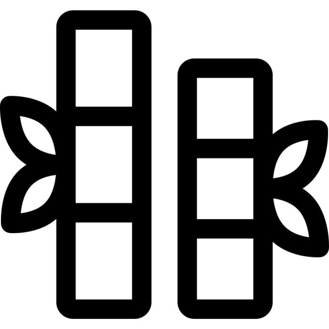 Bamboo