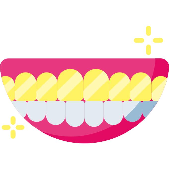 Teeth