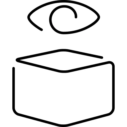 Logistics package box ultrathin outline with an eye