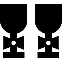 Wedding Cups