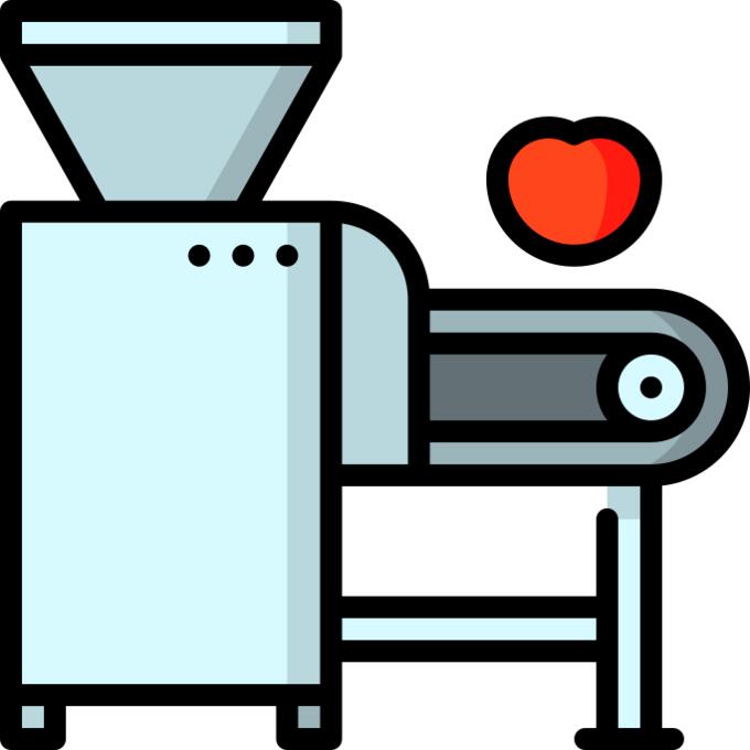 Processor