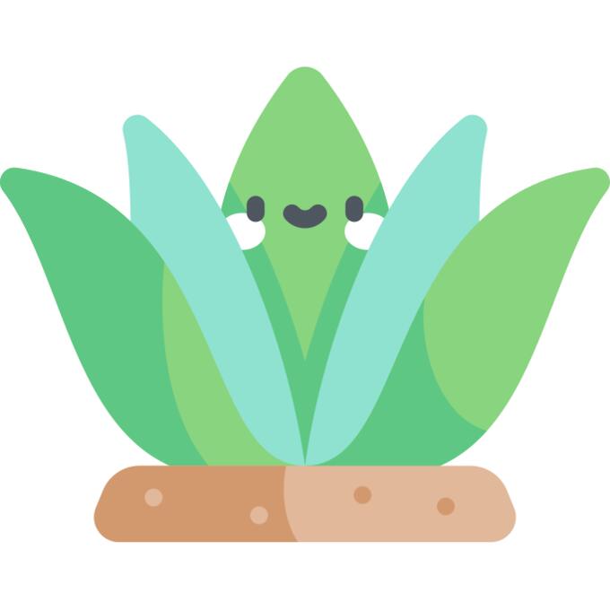 Agave