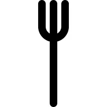 Fork