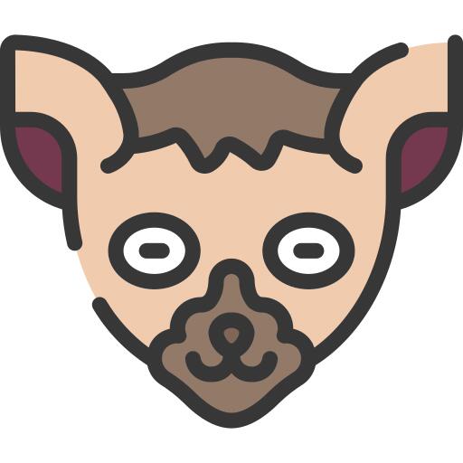 狐猴