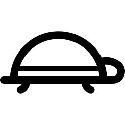 tortoise