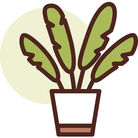 Botanic