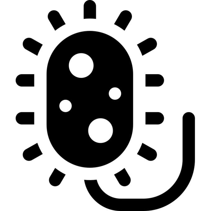 菌
