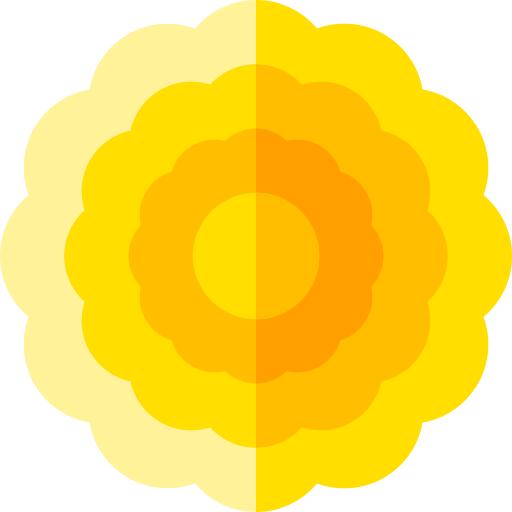 Chrysanthemum
