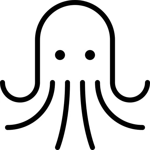 Squid