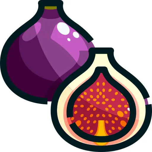 Fig