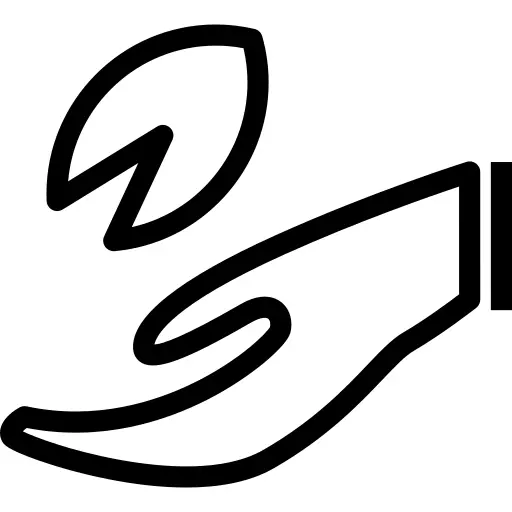 手