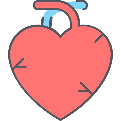 Heart