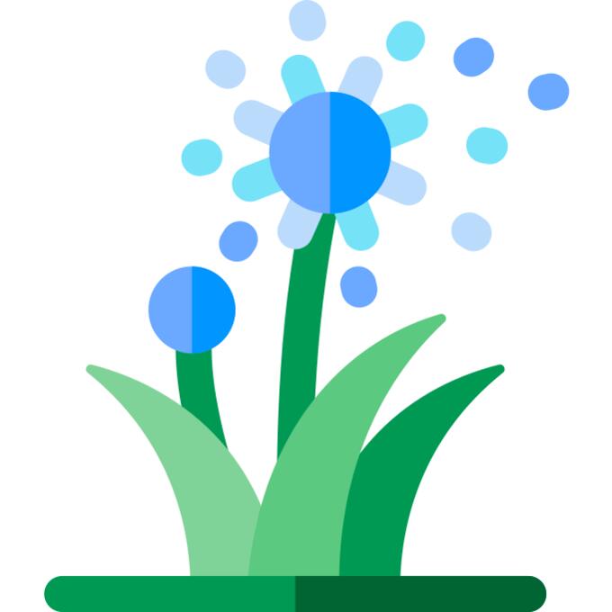 蒲公英