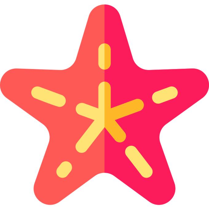 海星