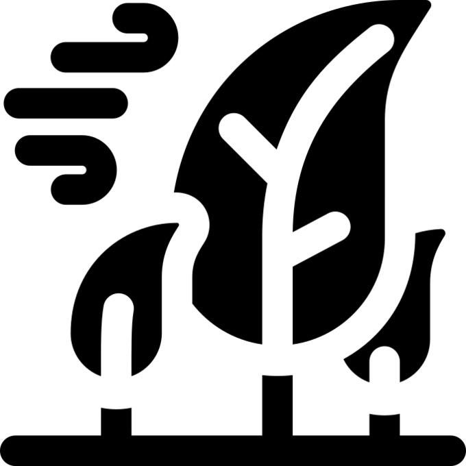 Wind