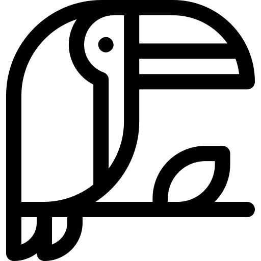 Toucan