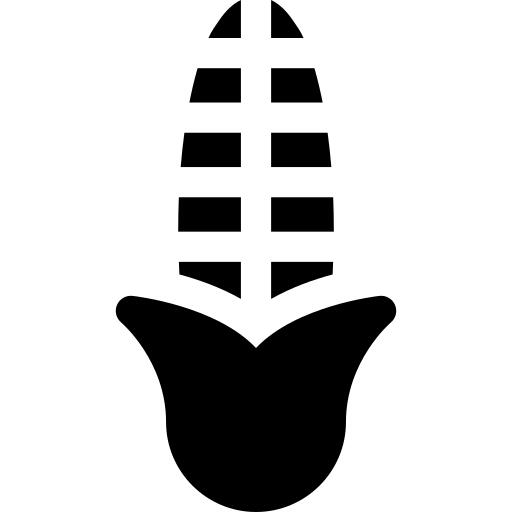 Corn