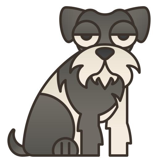 Miniature schnauzer