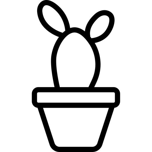 植物
