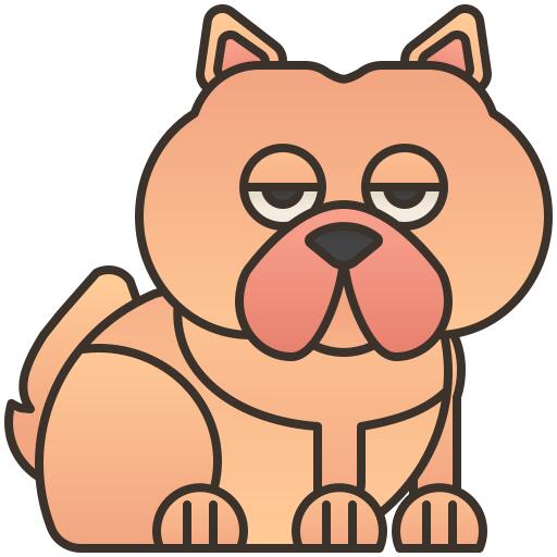 Chow chow