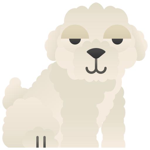 Bichon frise