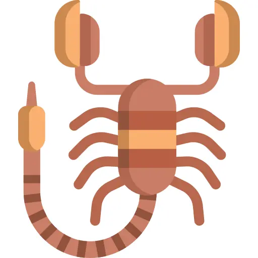 Scorpion