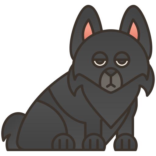 Schipperke