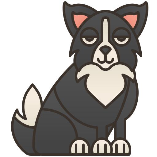 边境牧羊犬