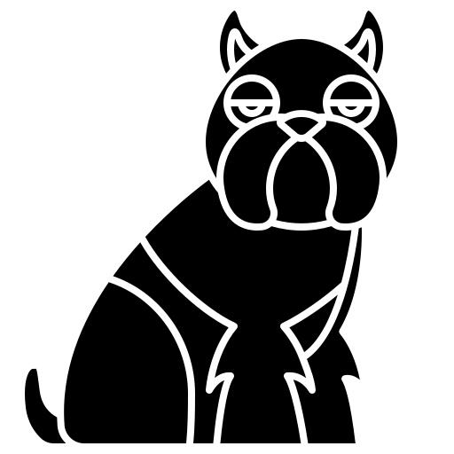 Brussels griffon