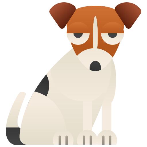 Jack russell terrier