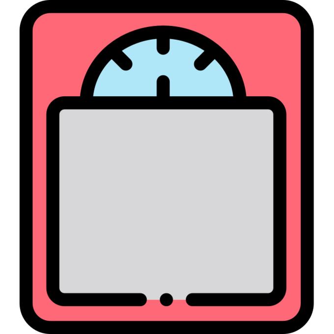 Bathroom scale