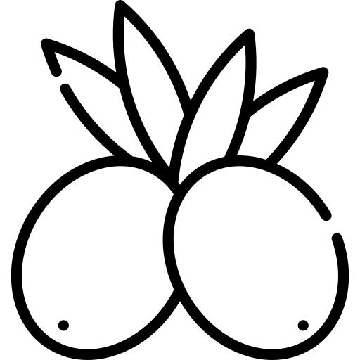 橄榄