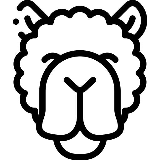 羊驼