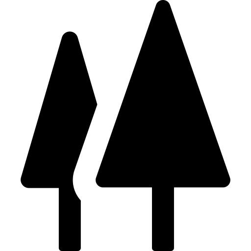 Woods