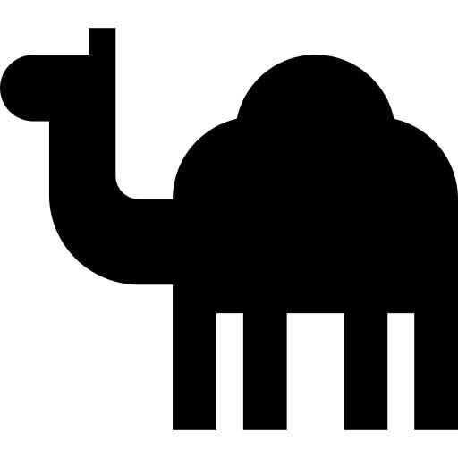 Dromedary
