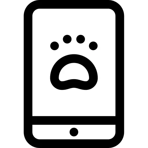 Smartphone