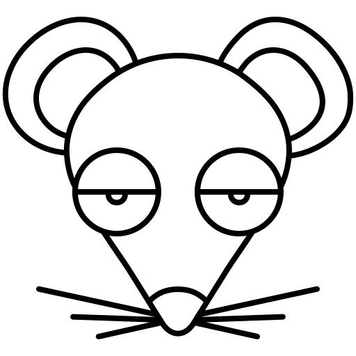 Rat