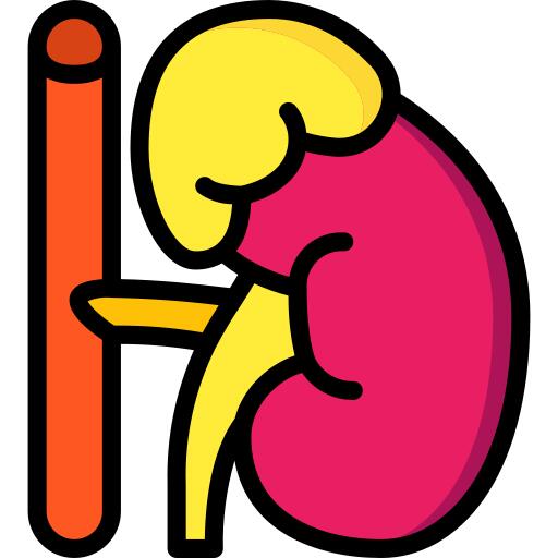 Adrenal gland