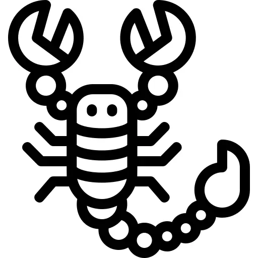 蝎
