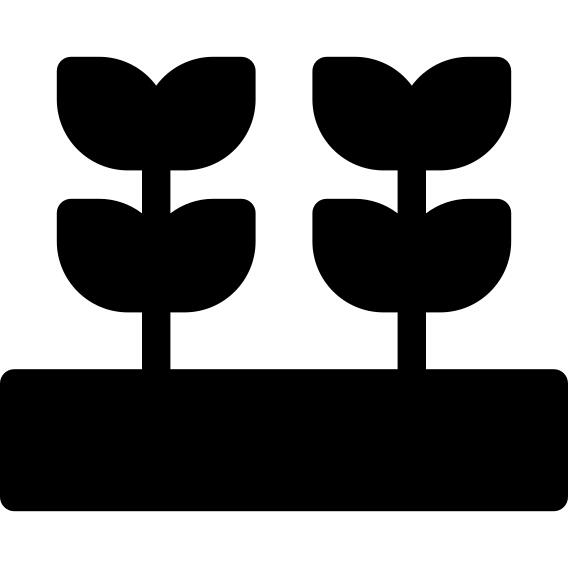 Sprout