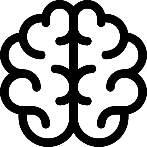 Brain