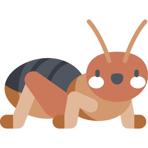 Potato bug