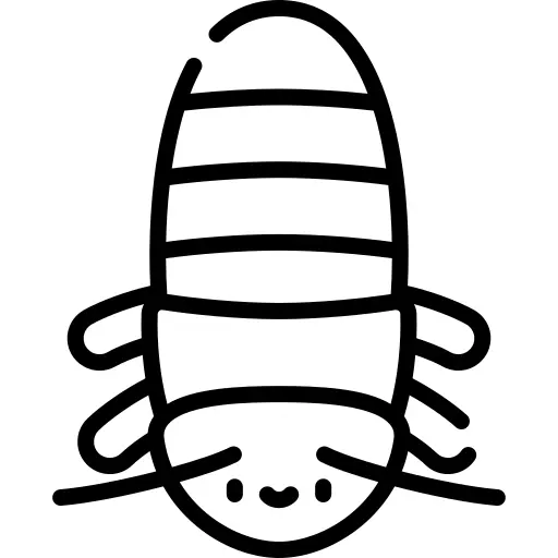 Madagascar hissing cockroach