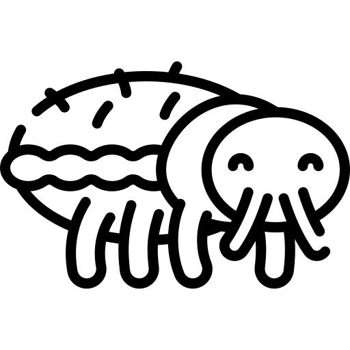 虱