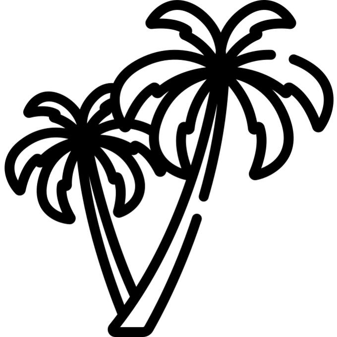 棕榈树